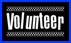Bica Volunteer Roatan
